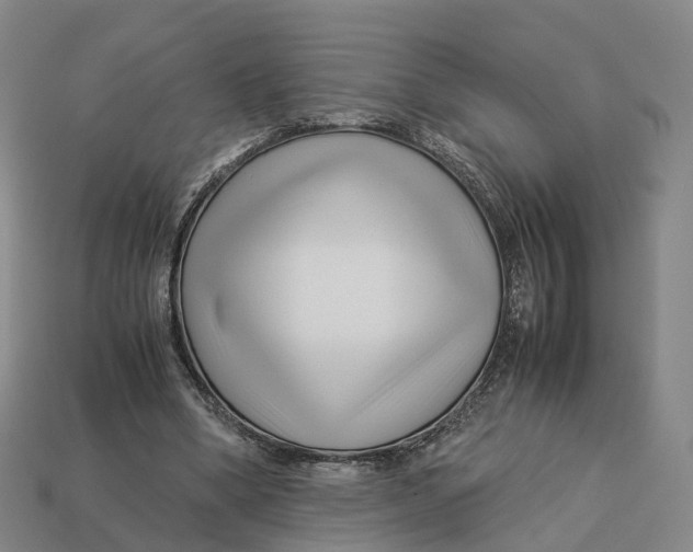 X0000113090394200909251014
