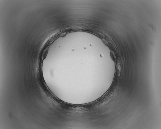 X0000113090396200909251014