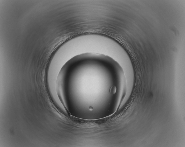 X0000113090397200909251014
