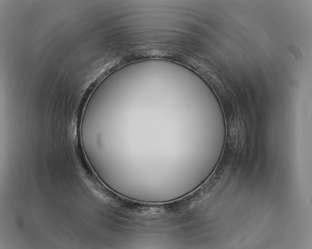 X0000113090398200909251014