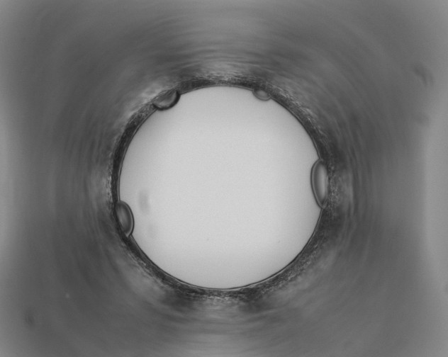 X0000113090399200909251014