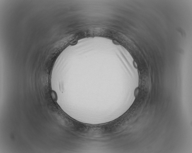 X0000113090401200909251014