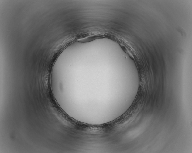 X0000113090402200909251014