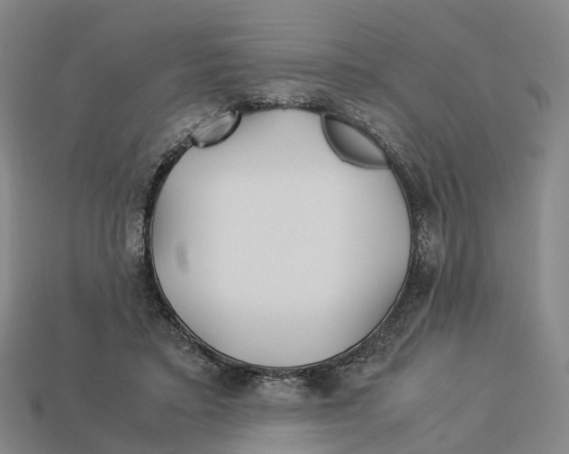 X0000113090403200909251014