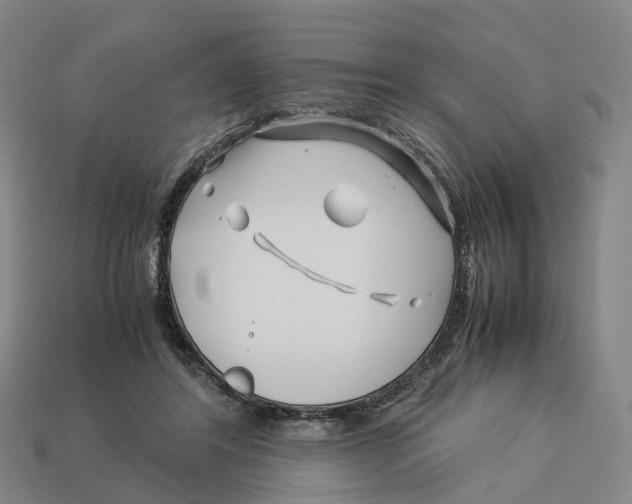 X0000113090404200909251014