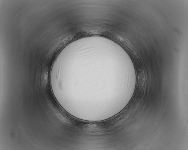 X0000113090406200909251014