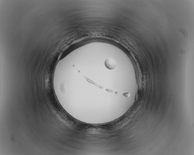 X0000113090408200909251014