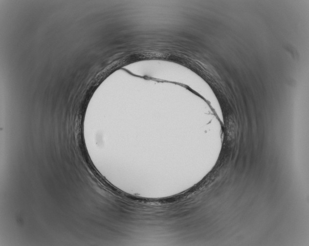X0000113090409200909251014