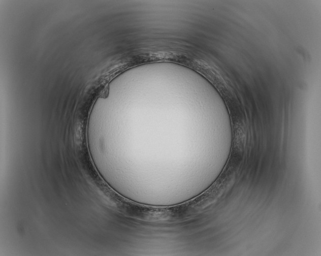 X0000113090410200909251014