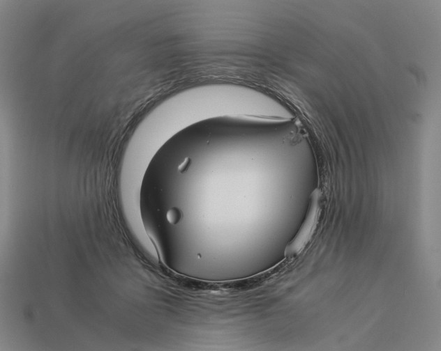 X0000113090411200909251014
