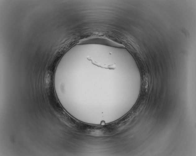 X0000113090412200909251014