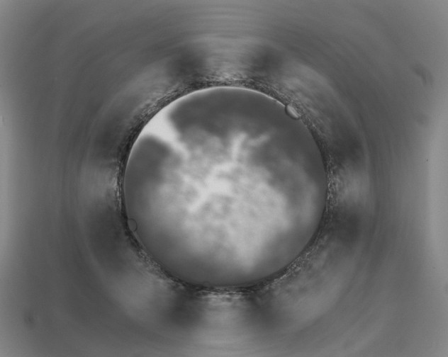 X0000113090415200909251014