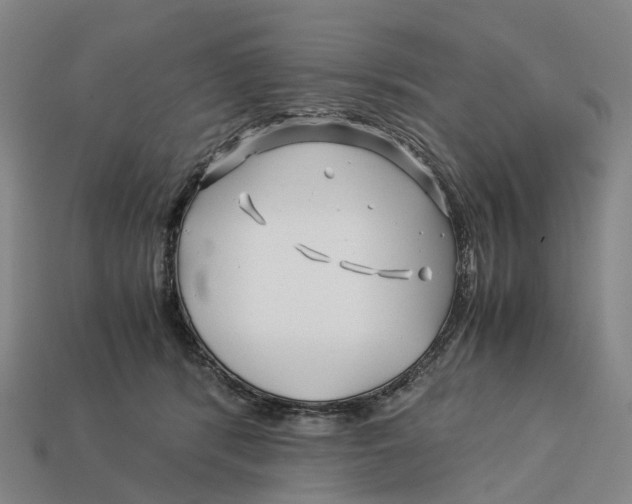 X0000113090416200909251014