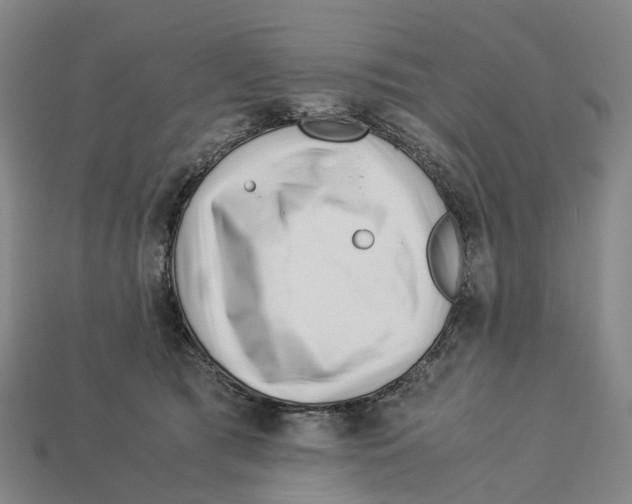 X0000113090417200909251014
