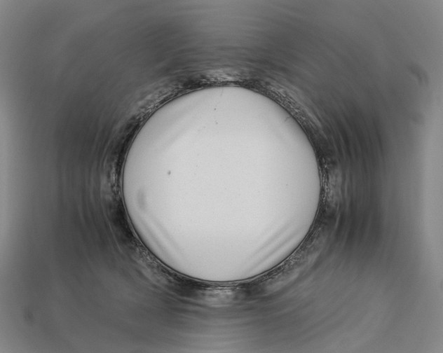 X0000113090418200909251014