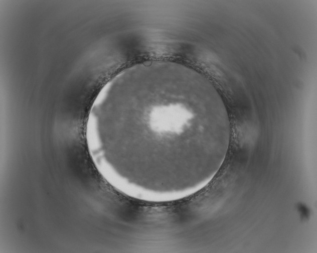 X0000113090419200909251014