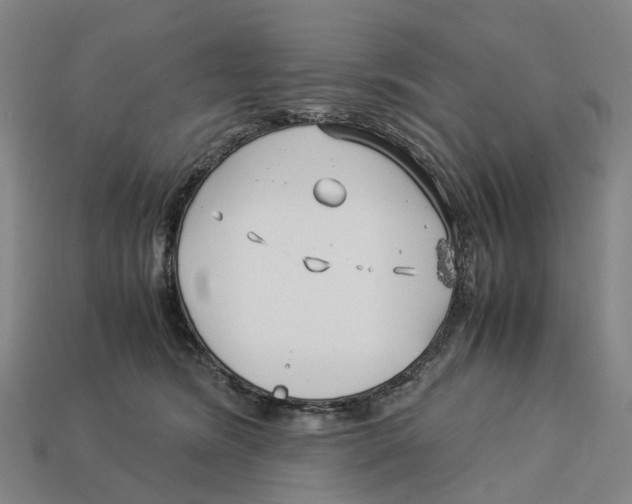 X0000113090420200909251014