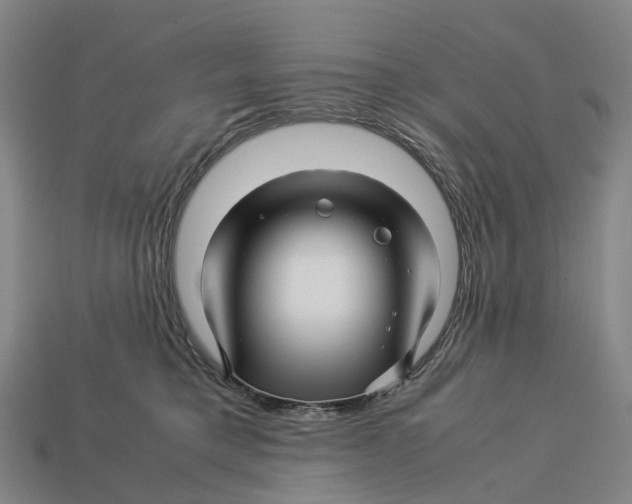 X0000113090421200909251014