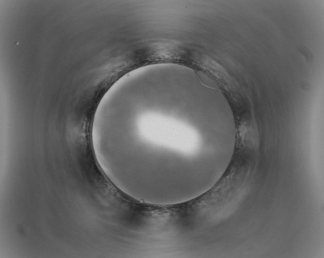 X0000113090423200909251014