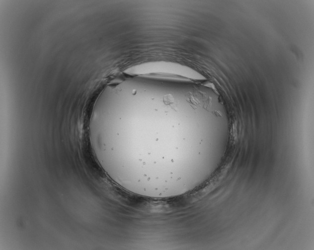 X0000113090424200909251014