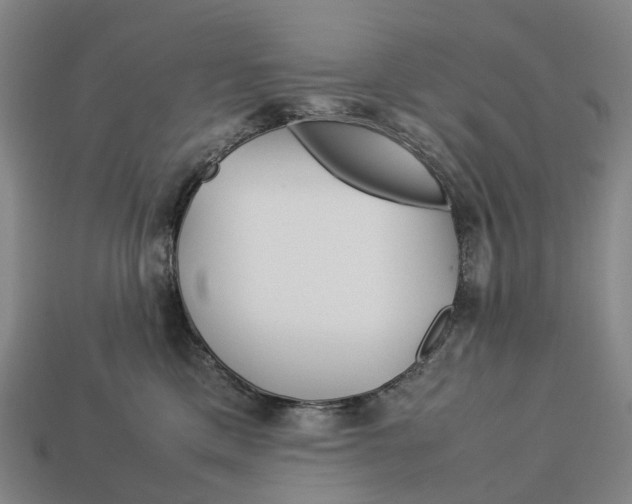X0000113090425200909251014