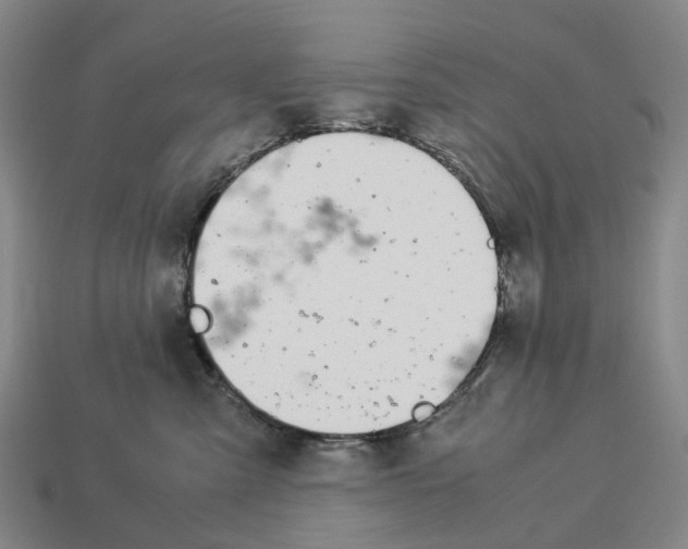 X0000113090427200909251014