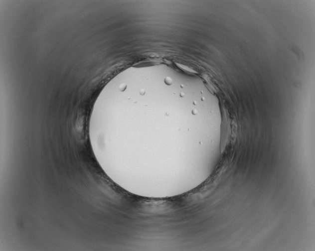 X0000113090428200909251014