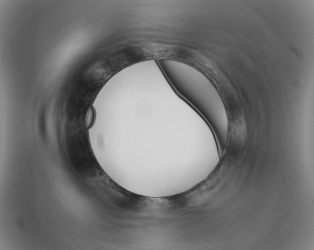 X0000113090429200909251014