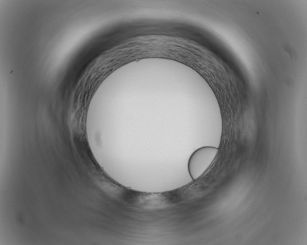 X0000113090431200909251014