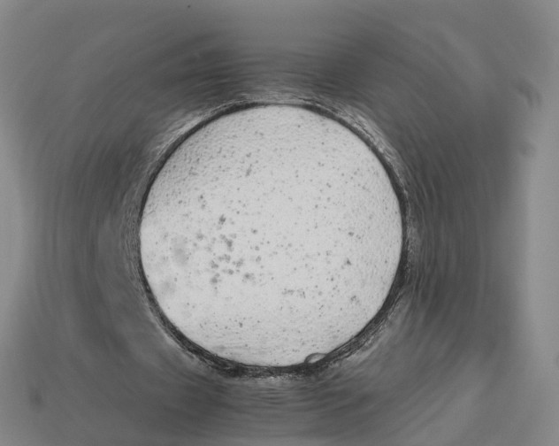 X0000113090433200909251013