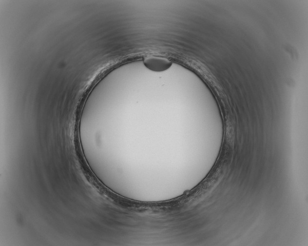 X0000113090434200909251013