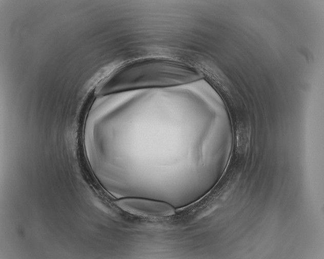 X0000113090436200909251013