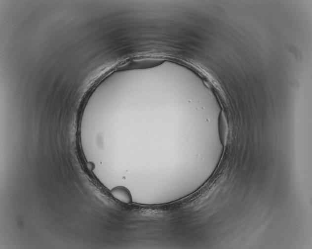 X0000113090437200909251013