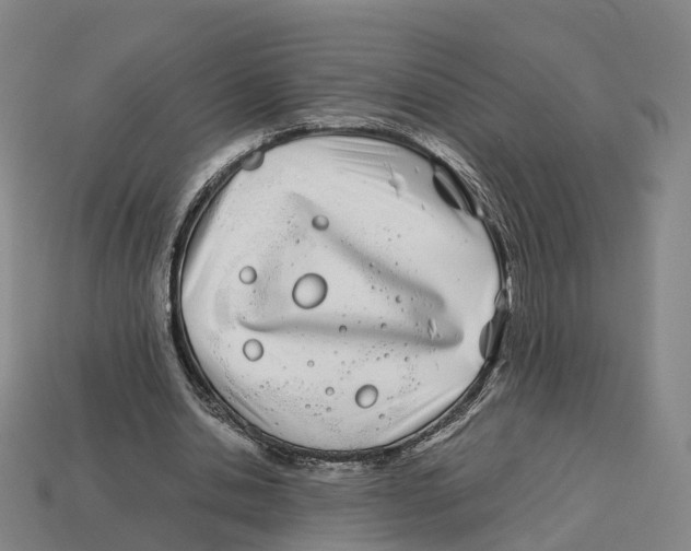 X0000113090438200909251013