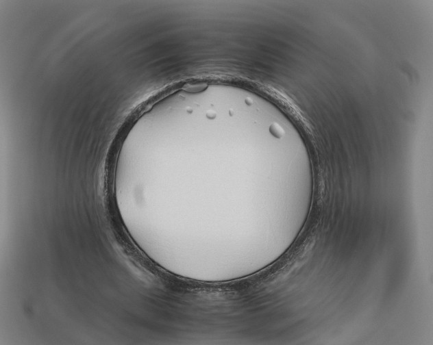 X0000113090439200909251013