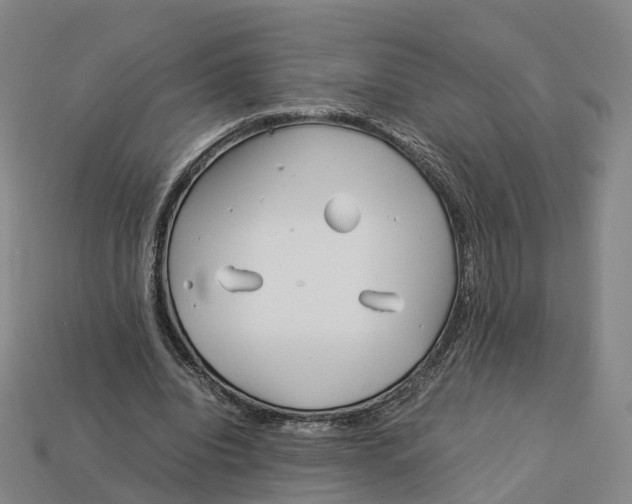 X0000113090440200909251013