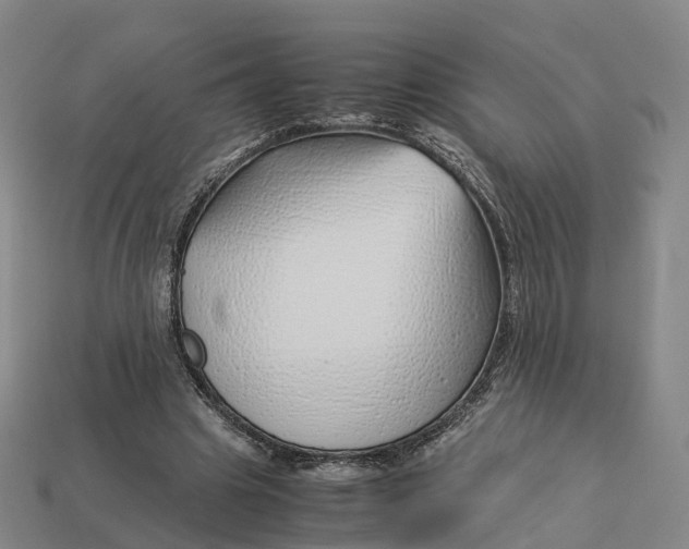 X0000113090441200909251013