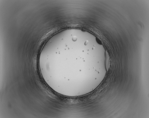 X0000113090442200909251013