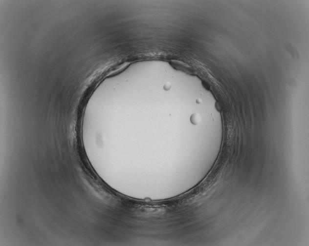 X0000113090443200909251013