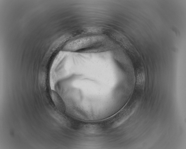 X0000113090444200909251013