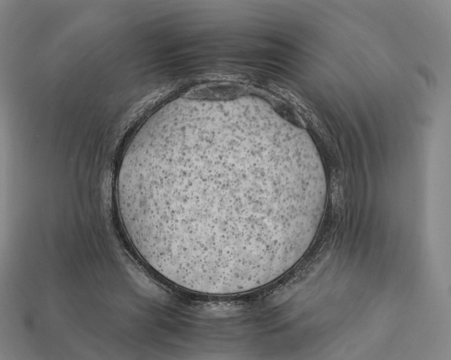 X0000113090445200909251013