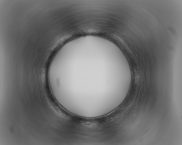 X0000113090447200909251013