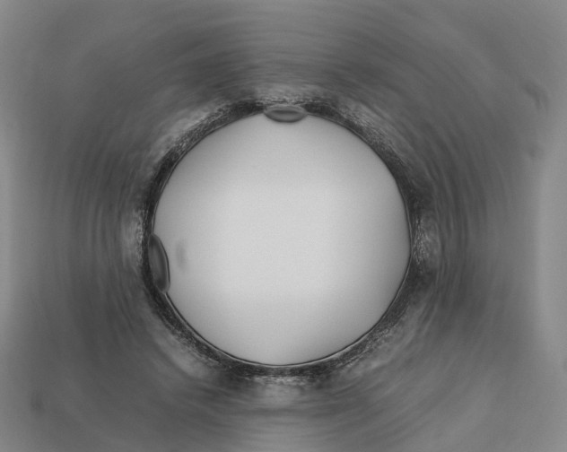 X0000113090448200909251013