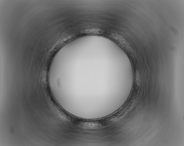 X0000113090449200909251013