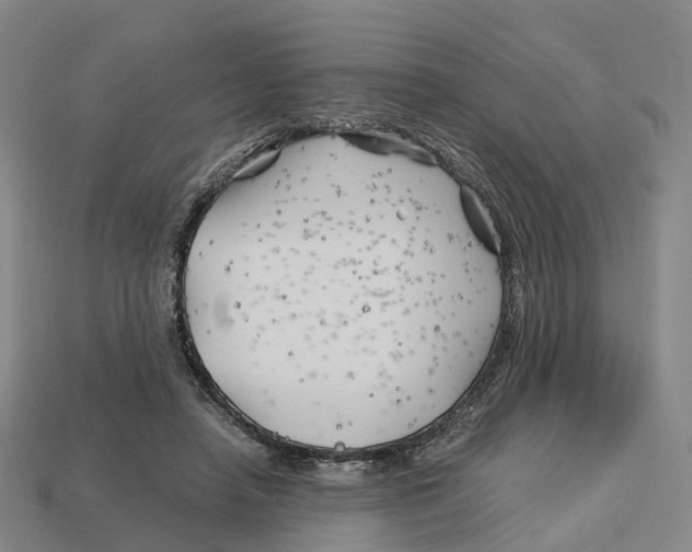 X0000113090450200909251013