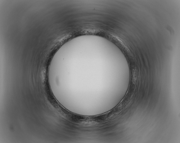 X0000113090451200909251013