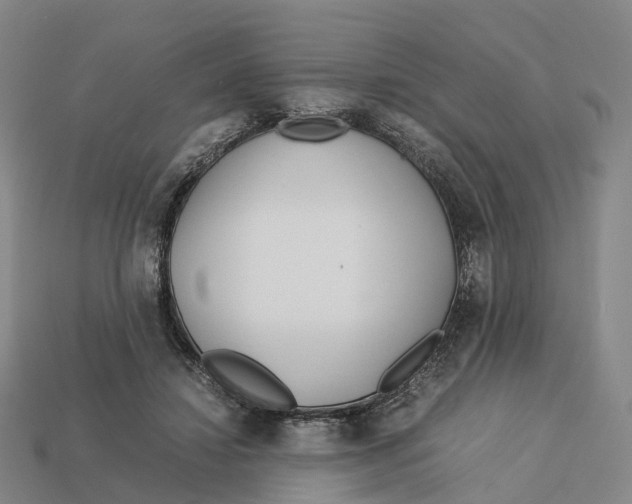 X0000113090452200909251013