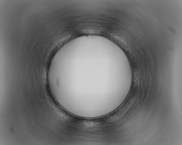 X0000113090453200909251013