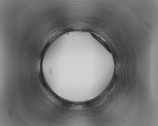 X0000113090454200909251013