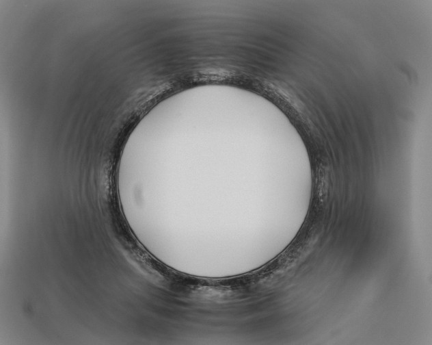 X0000113090455200909251013